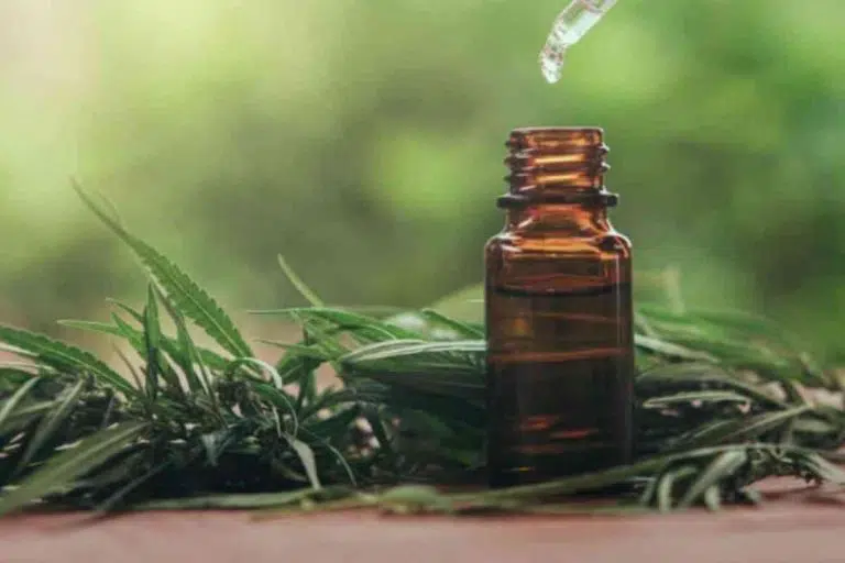 beneficios-da-cannabis-medicinal